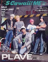 クリックして画像を拡大