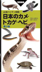 クリックして画像を拡大