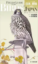 クリックして画像を拡大