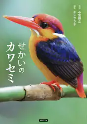 クリックして画像を拡大