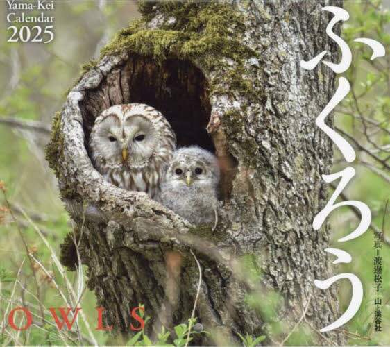 「カレンダー　’２５　ふくろう」