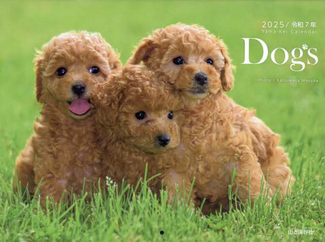「カレンダー　’２５　Ｄｏｇｓ」