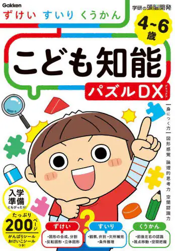 「こども知能パズルＤＸずけい・すいり・くうかん　４～６歳」