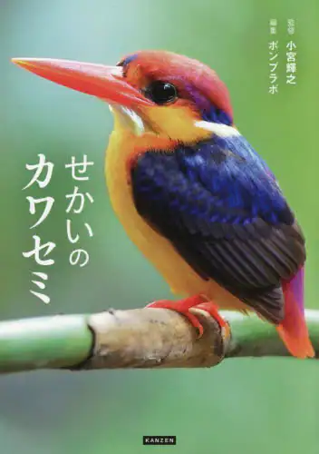 「せかいのカワセミ」