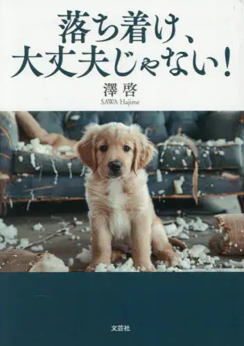 「落ち着け、大丈夫じゃない！」