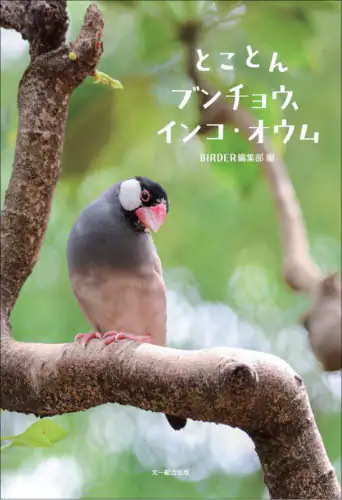 「とことんブンチョウ、インコ・オウム」
