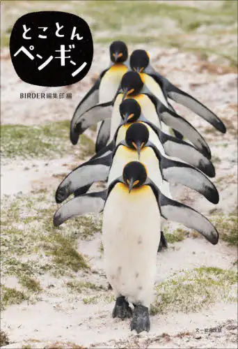 「とことんペンギン」